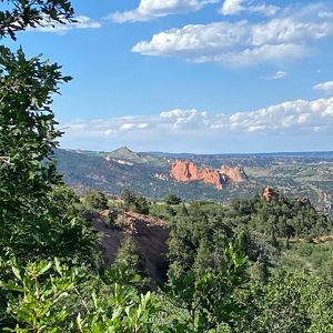 Schmidt Animal Lovers